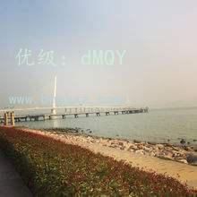 ˫