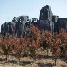 Ų