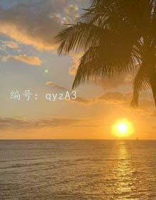 ĺ֮